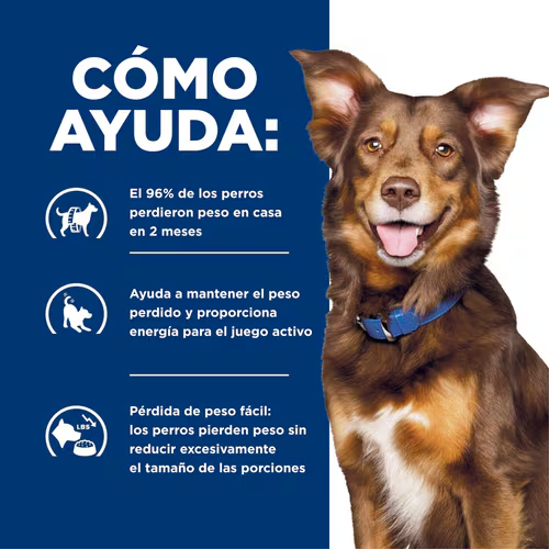 Hill’s Prescription Diet Metabolic | Alimento Seco para Perros con Sobrepeso y Control de Peso Duradero
