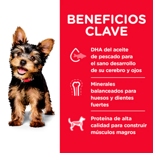 Hill’s Science Diet Small & Mini Puppy | Alimento Nutritivo para Cachorros de Razas Pequeñas y Miniatura