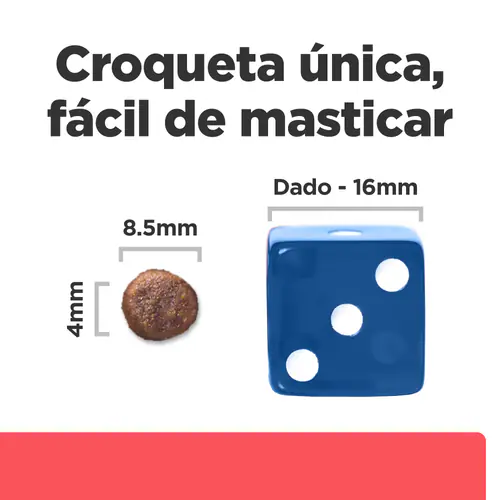 Fuerza y Bienestar para tu Gato en Cada Croqueta con Hill’s ONC Care