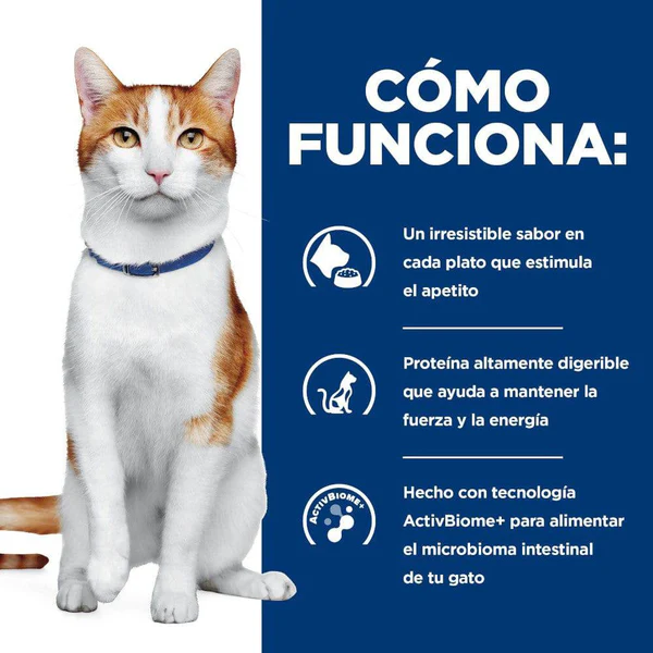 Hill’s Prescription Diet ONC Care para Gato – Alimento Húmedo en Latas 82g (Caja con 24)