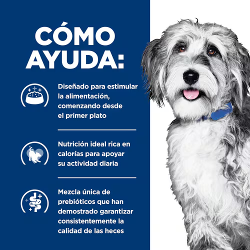 Hill’s Prescription Diet ONC Care | Alimento Especializado para Perros con Cáncer