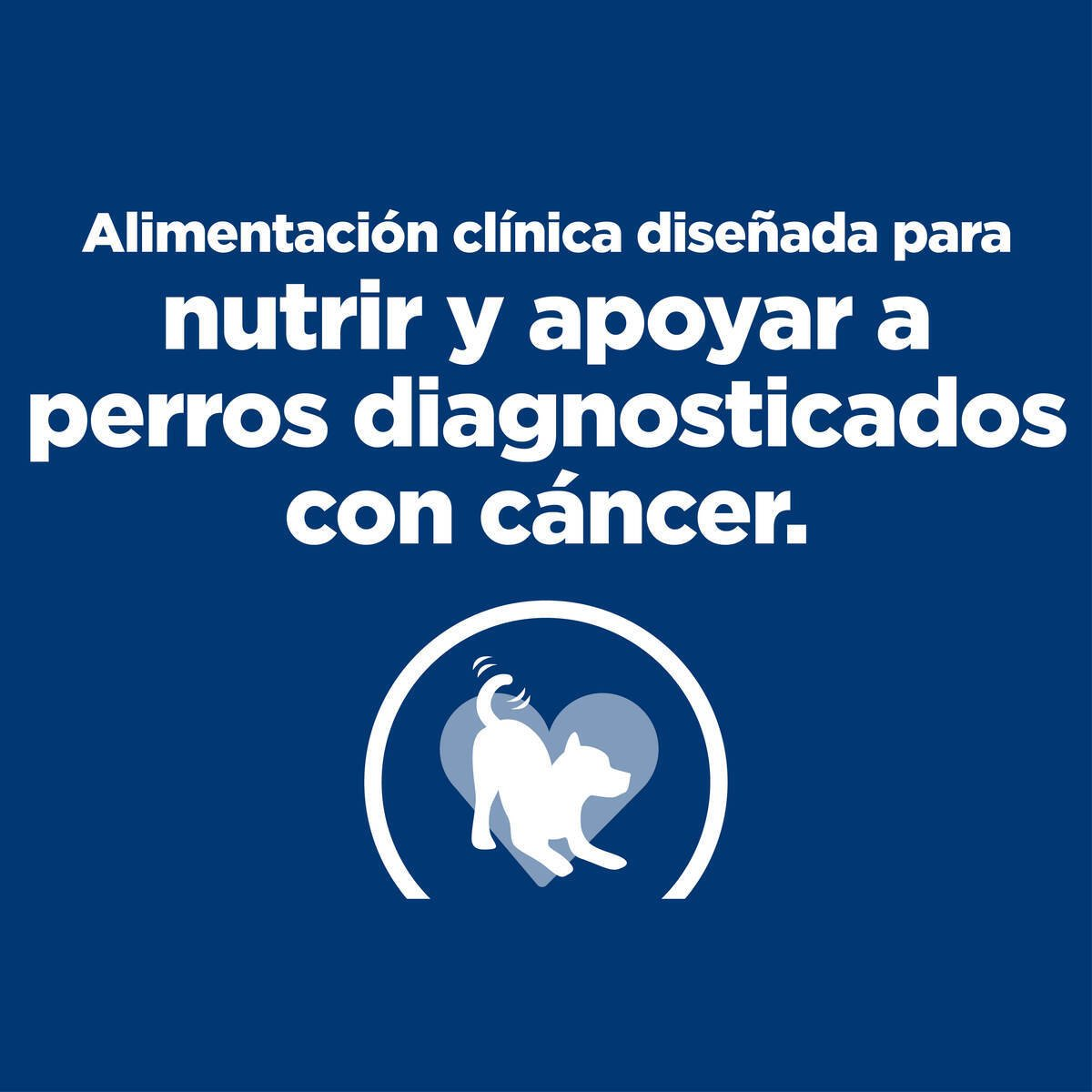 🎗️ Hill’s Onc-Care Lata – Nutrición Compasiva para Perros en Lucha 🐶🧡