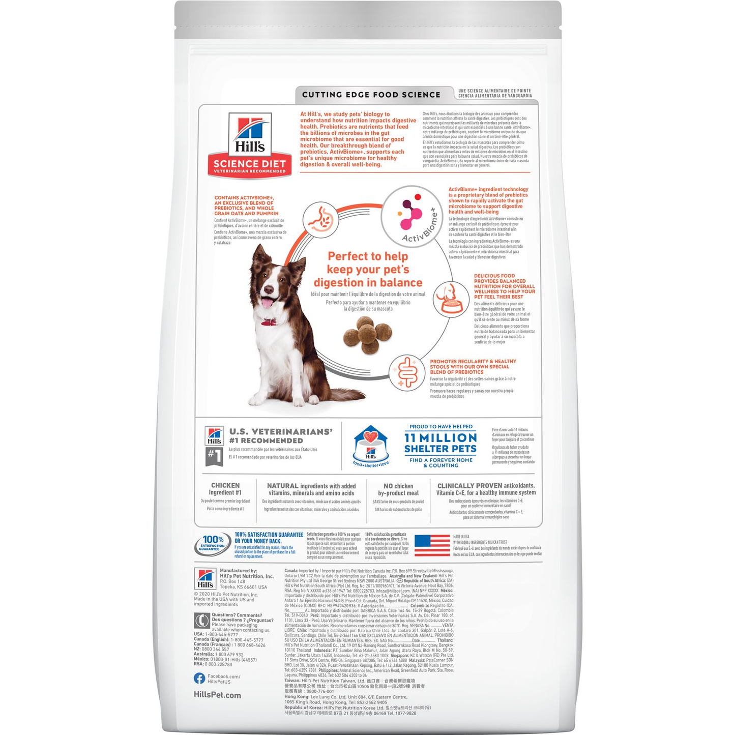 Hill’s Perfect Digestion – Bienestar Total para la Pancita de Tu Mejor Amigo