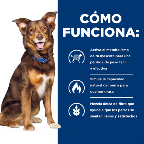 Hill’s Prescription Diet Metabolic | Alimento Seco para Perros con Sobrepeso y Control de Peso Duradero