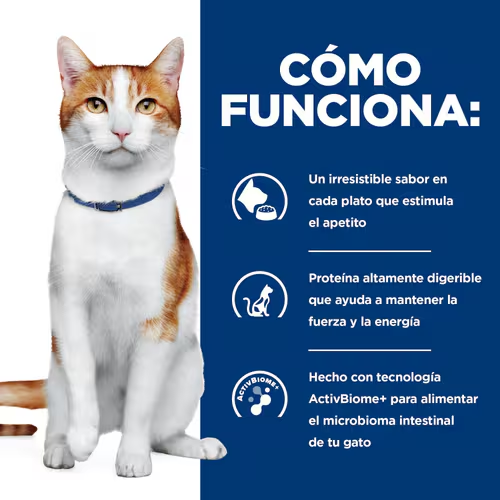 Fuerza y Bienestar para tu Gato en Cada Croqueta con Hill’s ONC Care