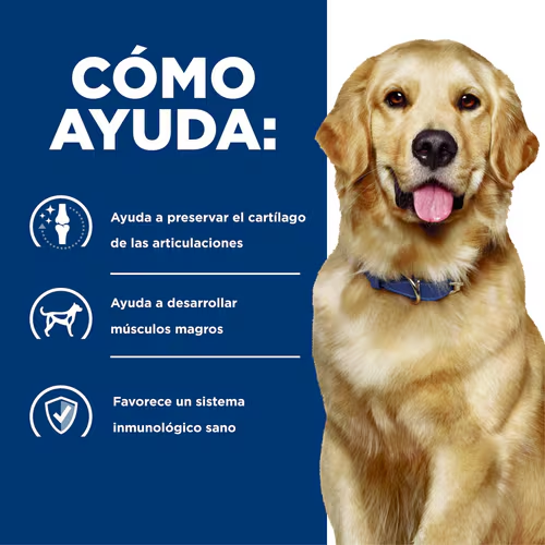 Hill's Prescription Diet j/d para Perros | Cuidado Articular con Glucosamina y Omega 3