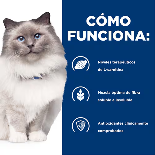 Recupérale la Energía y Salud a tu Gato con Hill’s r/d Control de Peso