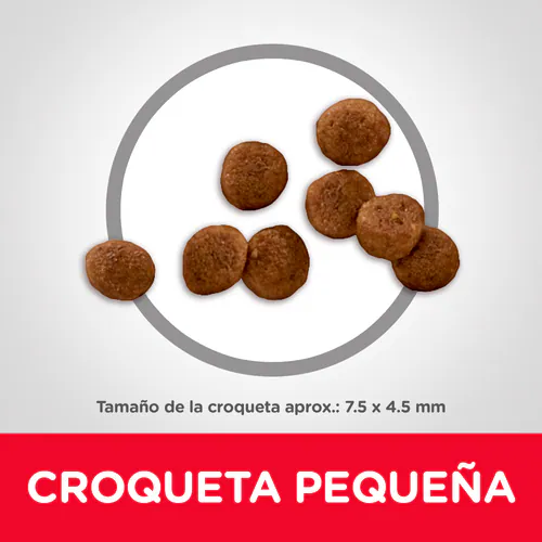 Hill’s Science Diet Small & Mini Puppy | Alimento Nutritivo para Cachorros de Razas Pequeñas y Miniatura