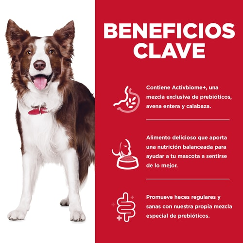 Hill’s Perfect Digestion – Bienestar Total para la Pancita de Tu Mejor Amigo