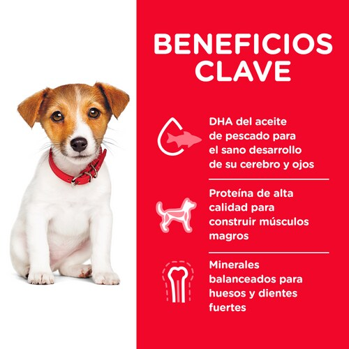 Hill’s Science Diet Puppy Small Bites | Croquetas Pequeñas para Cachorros con Mordida Delicada – Receta de Pollo y Cebada