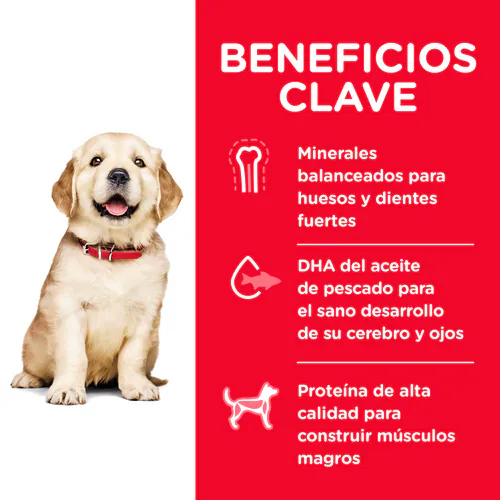 Hill’s Science Diet Puppy Raza Grande | Pollo y Avena – Alimento Nutritivo para Cachorros Grandes y Gigantes