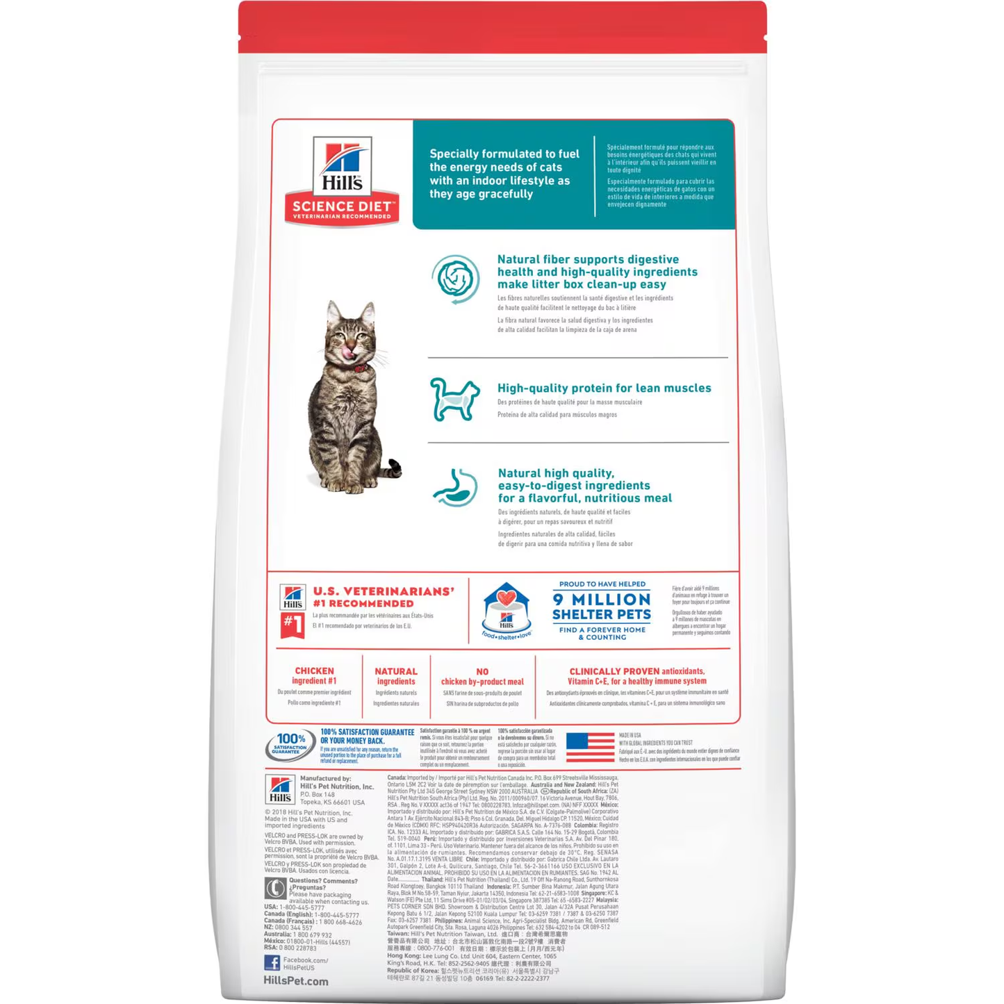 Hill’s Gato Mayor Indoor 7+ – Tranquilidad, Cuidado y Amor Para Tu Michi de Casa 🏠🐾