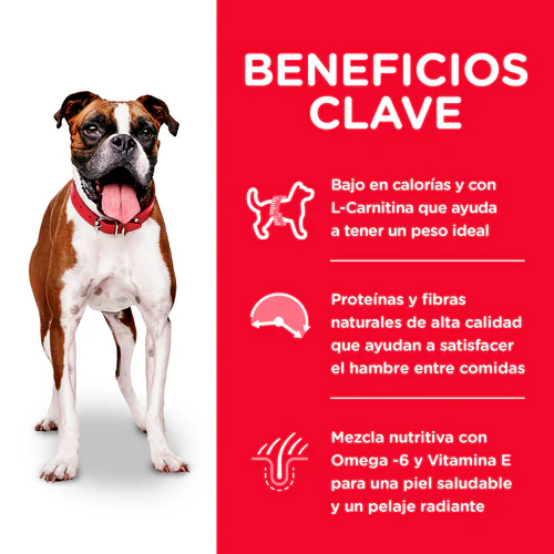 Hill’s Science Diet Adult Light – Comida con Pollo y Cebada | Peso Saludable para tu Perro Adulto