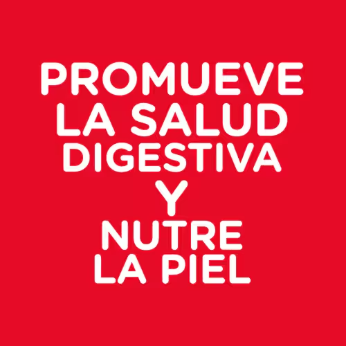 Delicado por dentro y por fuera: Hill’s Sensitive Skin & Stomach – El alimento que cuida a tu gato como tú lo harías 🐱💕