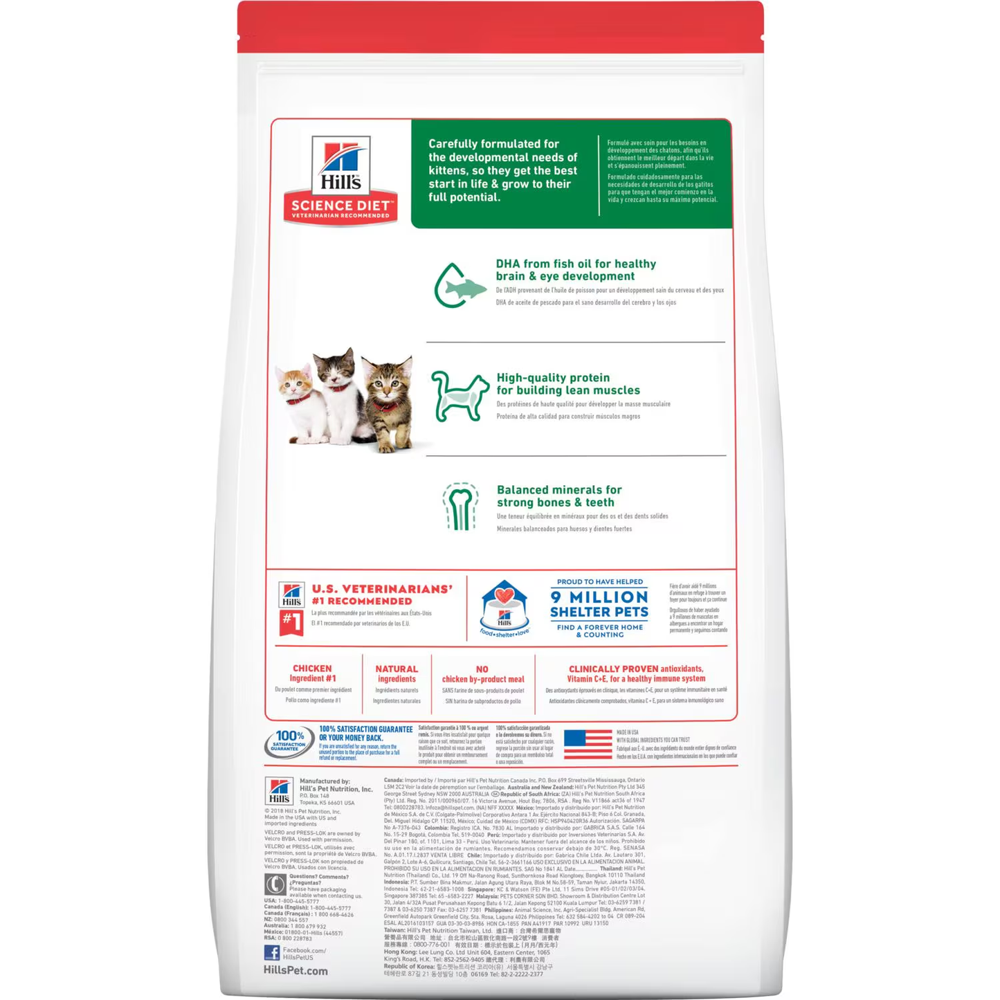Hill's Kitten Pollo – Nutrición Inteligente para un Comienzo Saludable