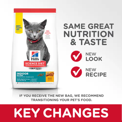 Hill's Kitten Indoor – Nutrición Ideal para Gatitos Felices en Casa 🏡🐱