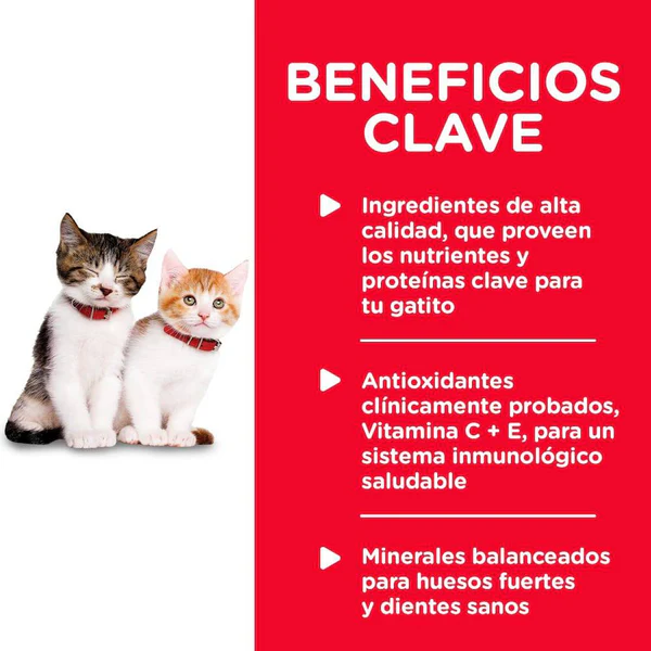 Hill’s Science Diet Gatito Healthy Cuisine – Alimento Húmedo Natural (24 Latas de 79 g)