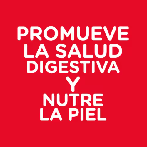 Protege su Piel y su Estómago: Hill’s Sensitive Skin & Stomach para Adultos