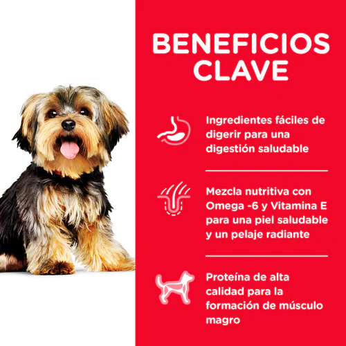 Hill’s Science Diet Small & Mini – Amor en Cada Croqueta para tu Perro de Raza Pequeña