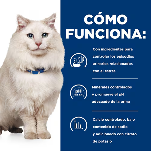 Protege la Salud Urinaria de tu Gato con Hill’s c/d Multicare Stress
