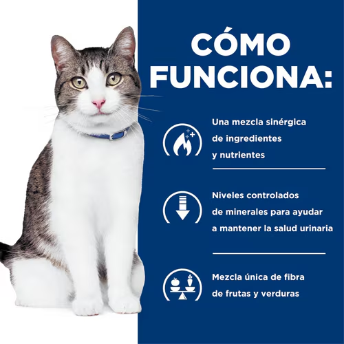 Protección Urinaria y Control de Peso en Uno Solo con Hill’s c/d Urinary + Metabolic