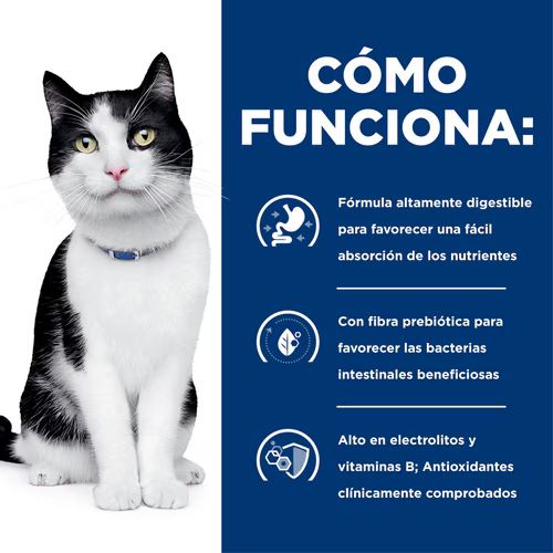 Recupera el Bienestar Digestivo de tu Gato con Hill’s i/d