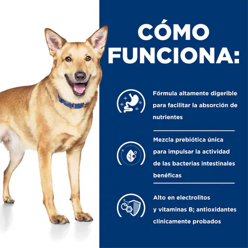 Hill's Prescription Diet i/d para Perros | Alimento Seco Digestivo Recomendado por Veterinarios