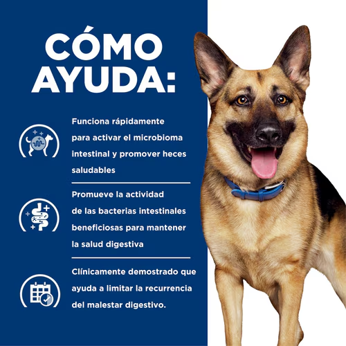 Hill’s Prescription Diet Gastrointestinal Biome para Perros – Alimento para Digestión y Heces Saludables