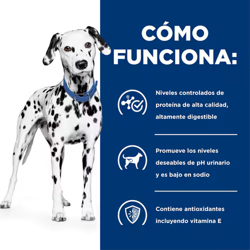 Hill’s Prescription Diet u/d | Alimento para Perros con Cálculos Urinarios