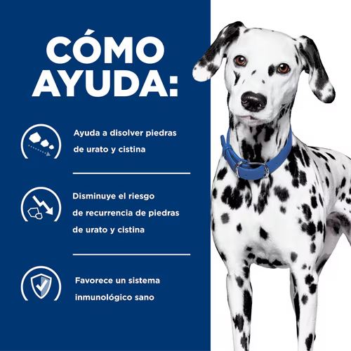 Hill’s Prescription Diet u/d | Alimento para Perros con Cálculos Urinarios