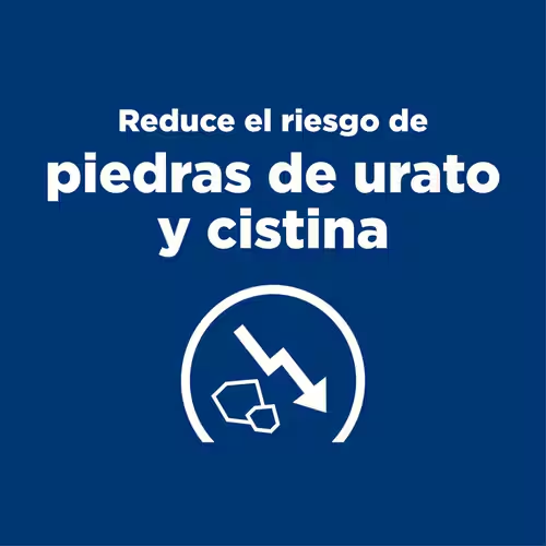 Hill’s Prescription Diet u/d | Alimento para Perros con Cálculos Urinarios