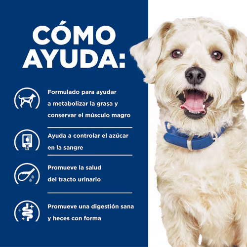 Hill’s Prescription Diet w/d | Alimento Especial para Perros con Diabetes y Sobrepeso