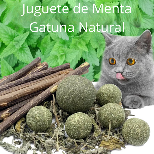 Bolitas y palitos de catnip natural para gatos: Para entrenamiento, esparcimiento, higiene dental y gastrointestinal