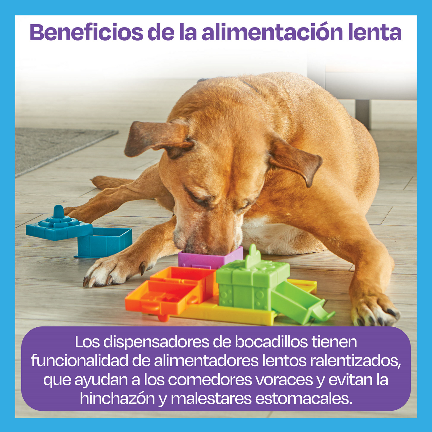 Brightkins-Fiesta Sorpresa Rompecabezas de Entrenamiento
