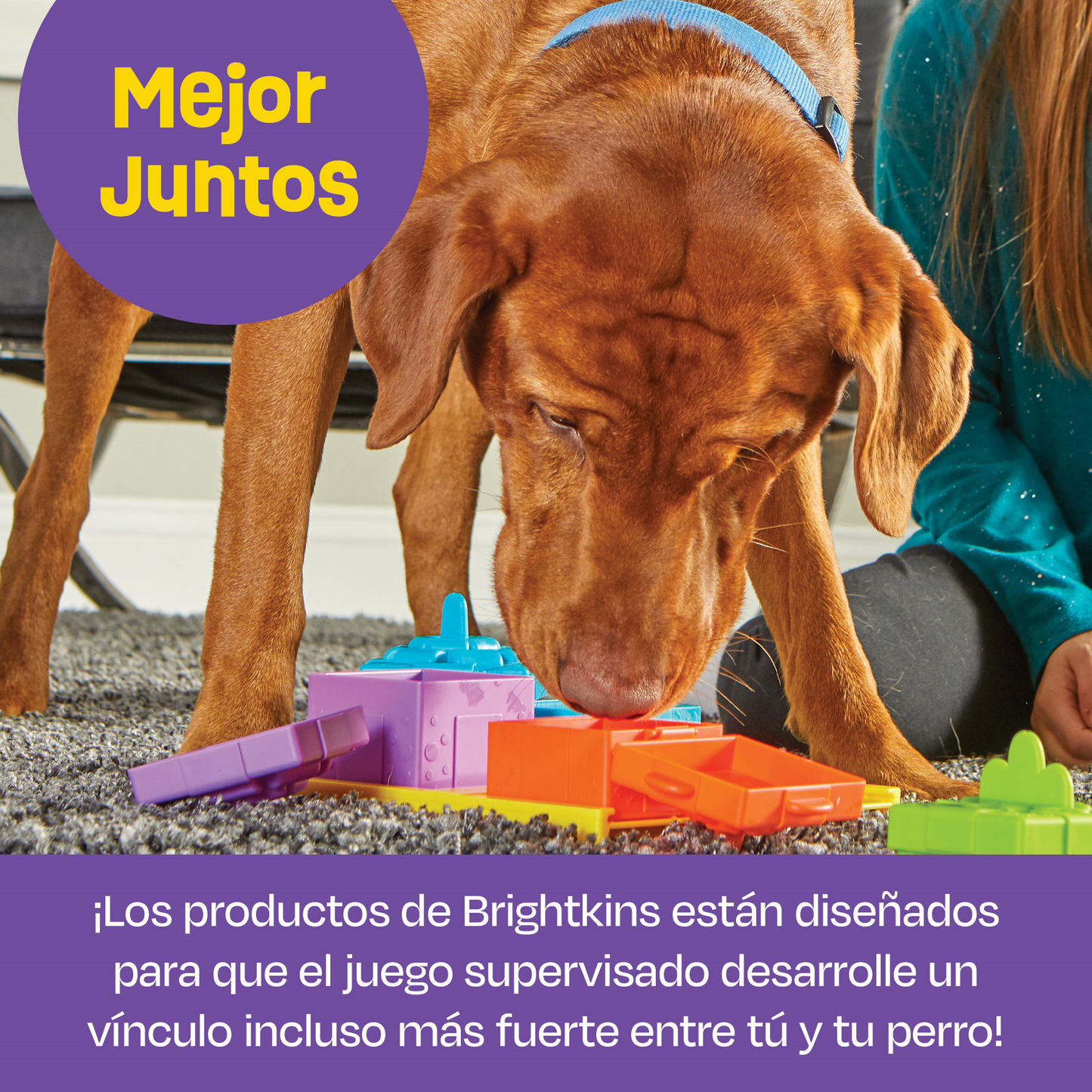 Brightkins-Fiesta Sorpresa Rompecabezas de Entrenamiento