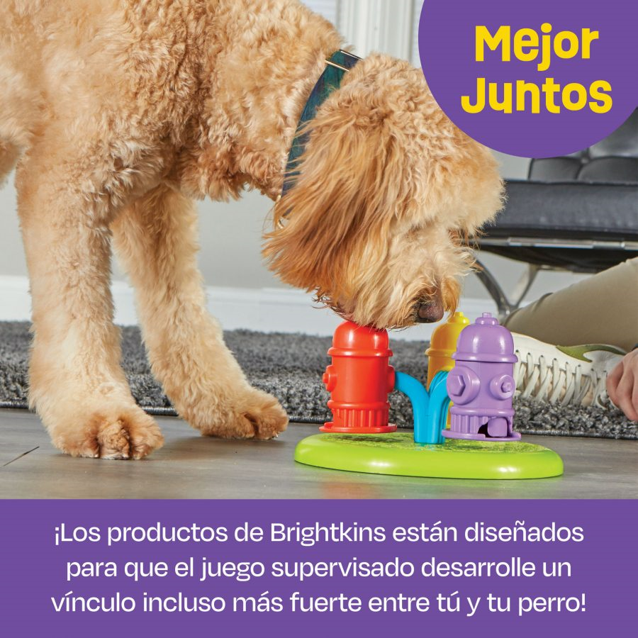 Brightkins-Rompecabezas de Tratamiento de Hidrantes Giratorios