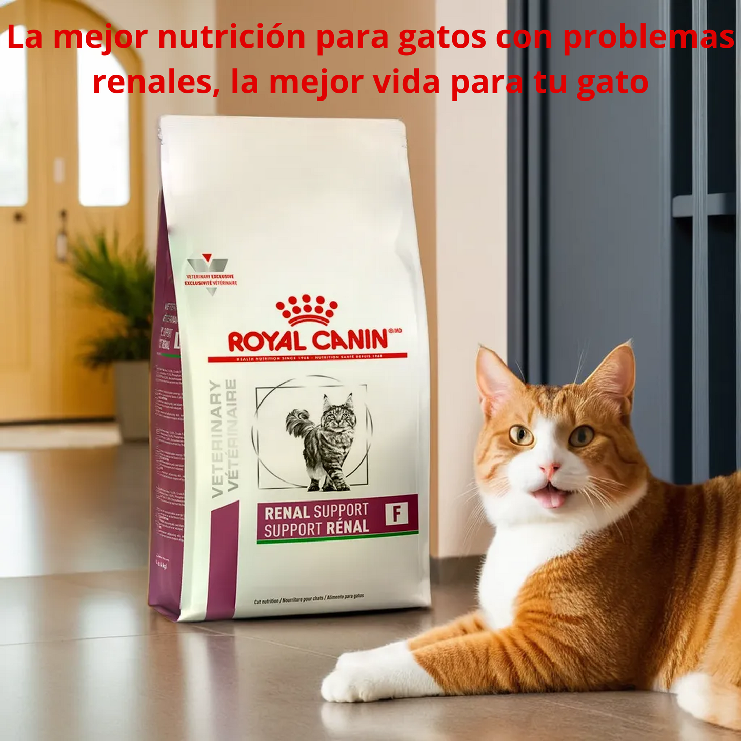Royal Canin Renal Support F Feline 1.37 Kg