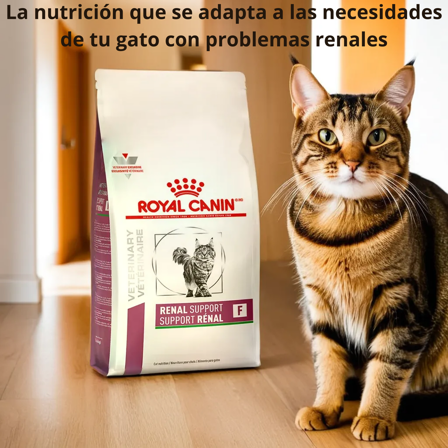 Royal Canin Renal Support F Feline 1.37 Kg