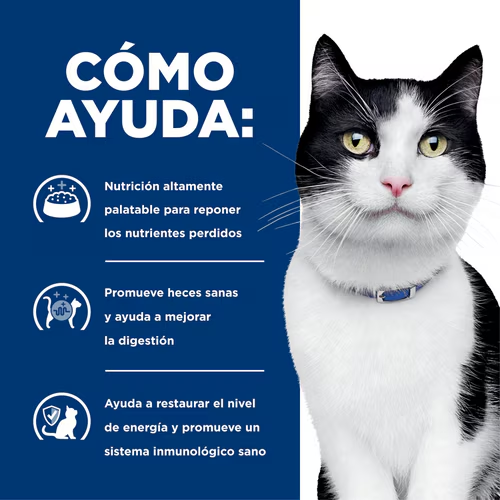 Recupera el Bienestar Digestivo de tu Gato con Hill’s i/d