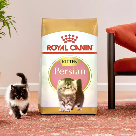 Royal Canin Persian Kitten 1.36 Kg
