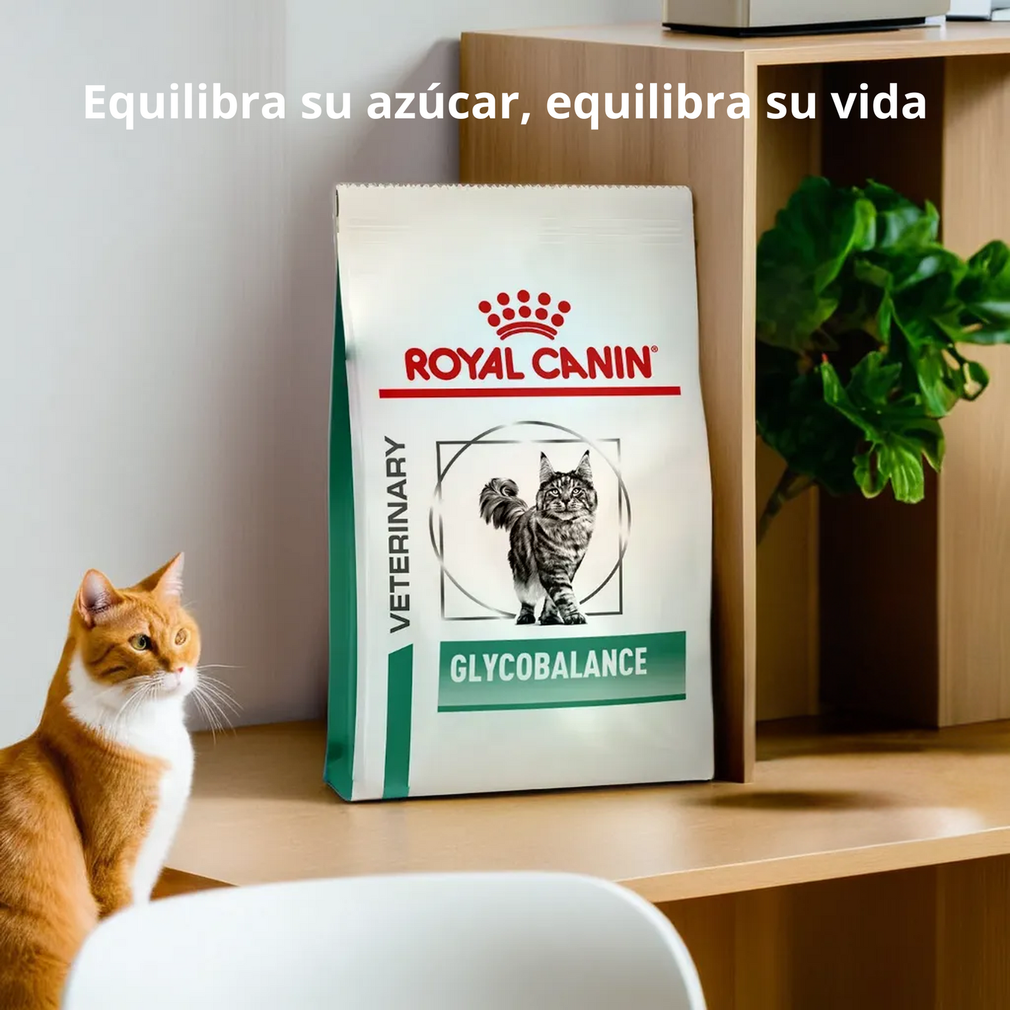 Royal Canin Glycobalance Feline 2 Kg