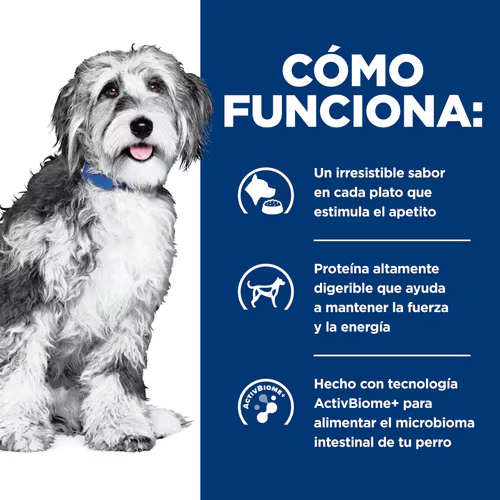 Hill’s Prescription Diet ONC Care | Alimento Especializado para Perros con Cáncer