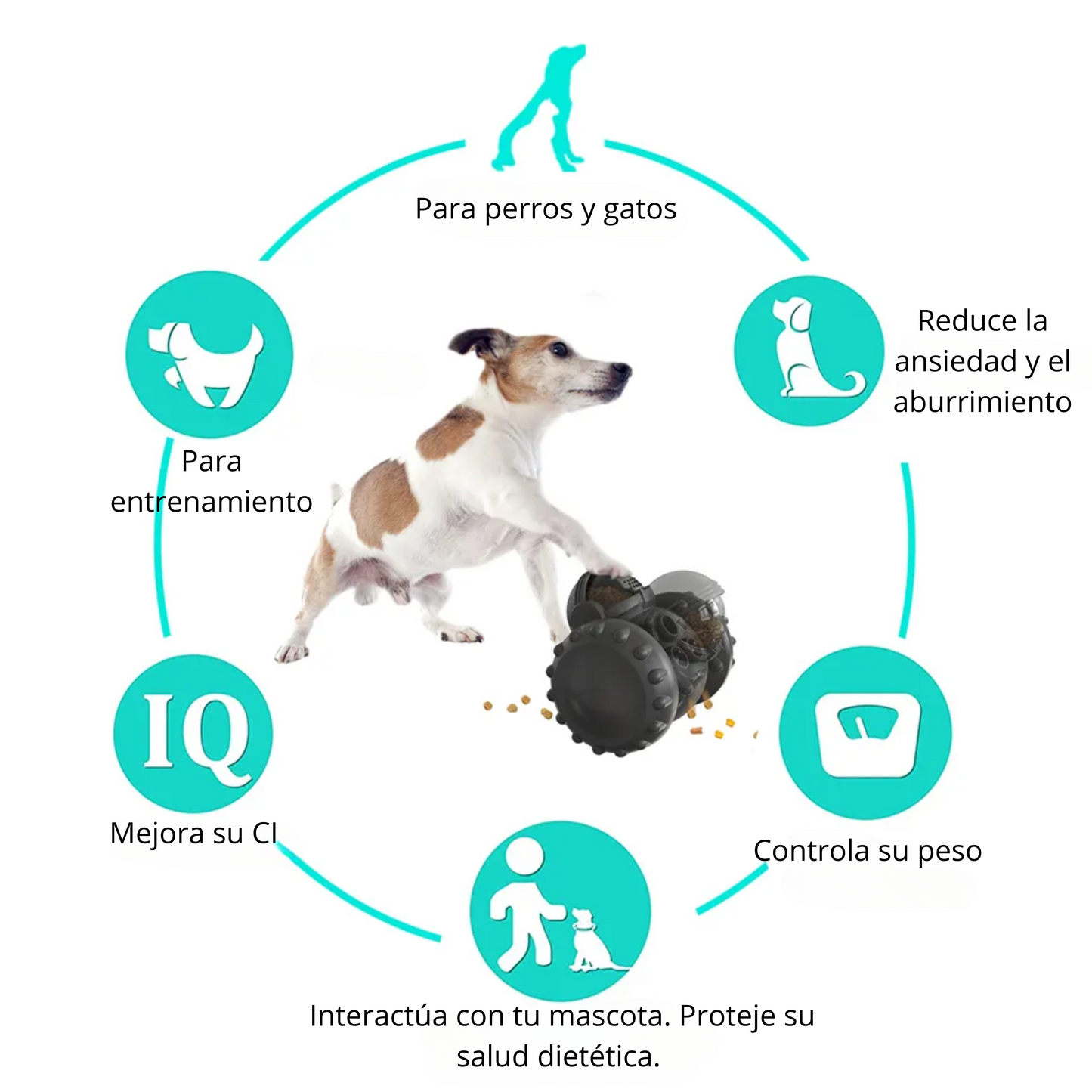 Juguete interactivo dispensador de alimento o premios para perros y gatos