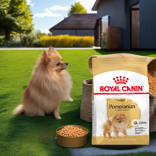 Royal Canin BHN Pomeranian Adult 1.1 Kg