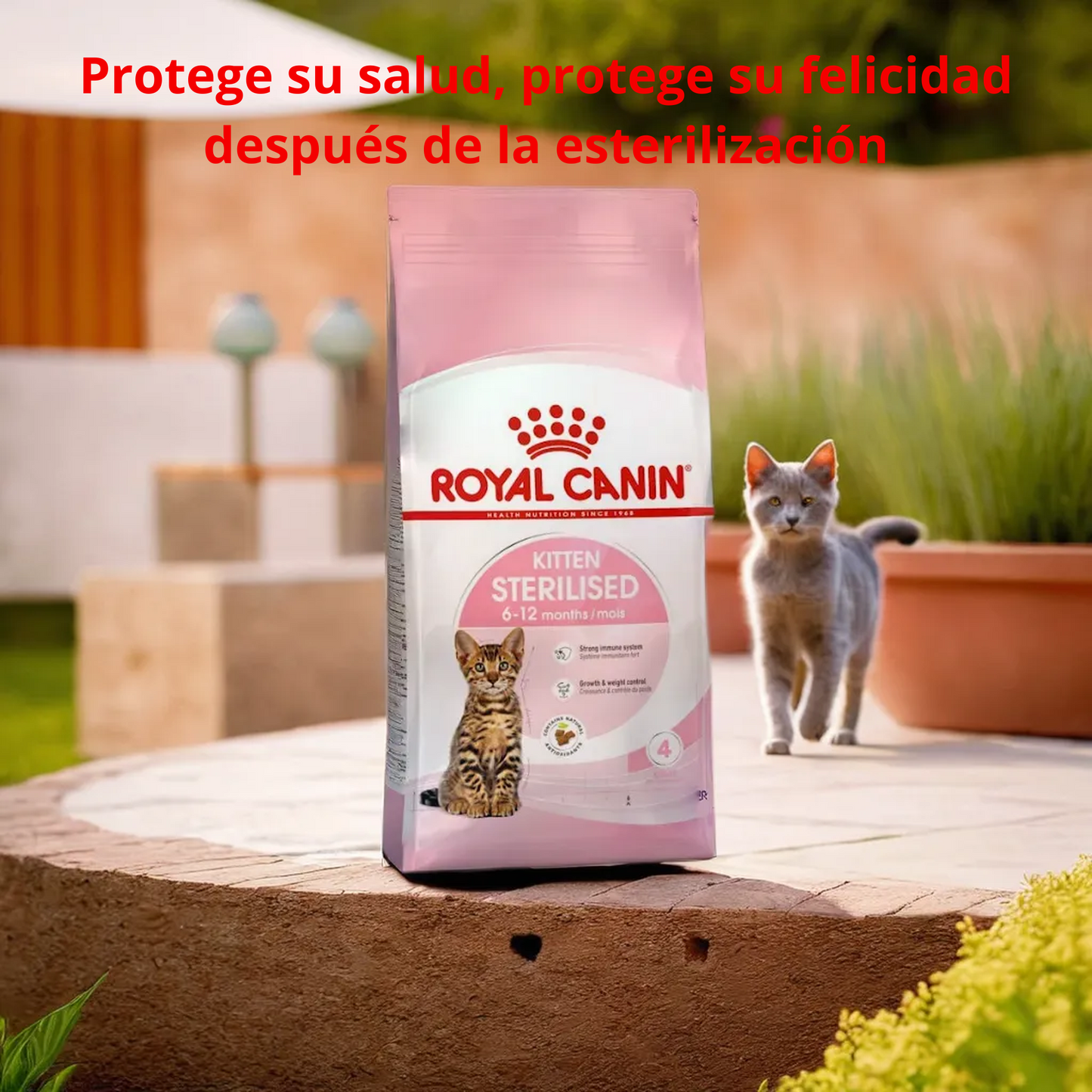 Royal Canin Kitten Spayed 1.14 Kg
