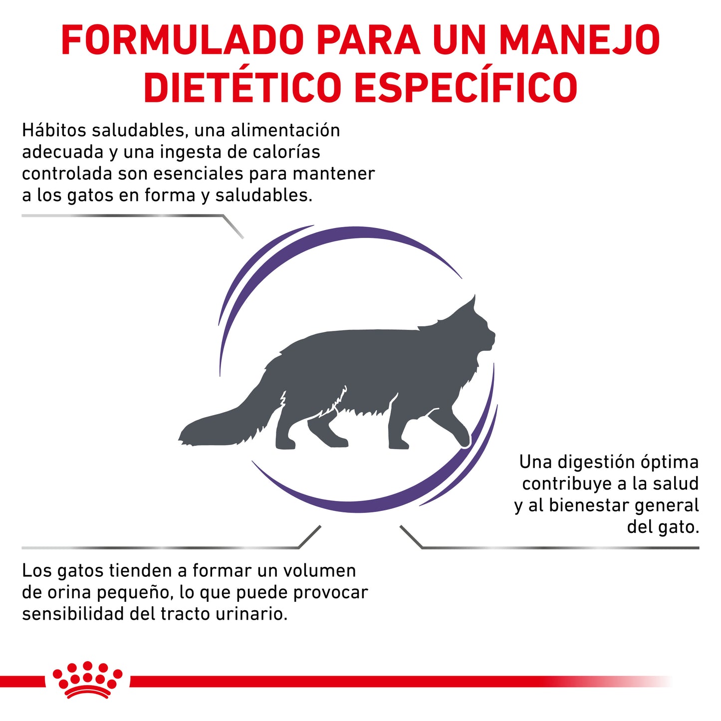 Royal Canin Adult Feline 10 Kg