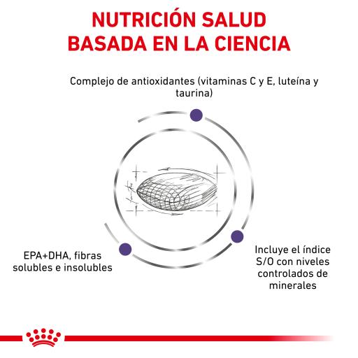 Royal Canin Adult Feline 10 Kg