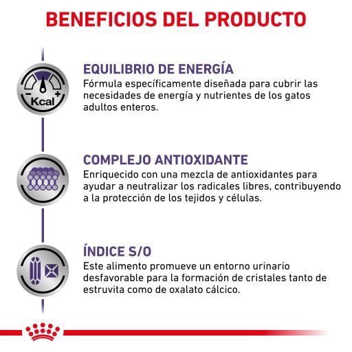 Royal Canin Adult Feline 10 Kg