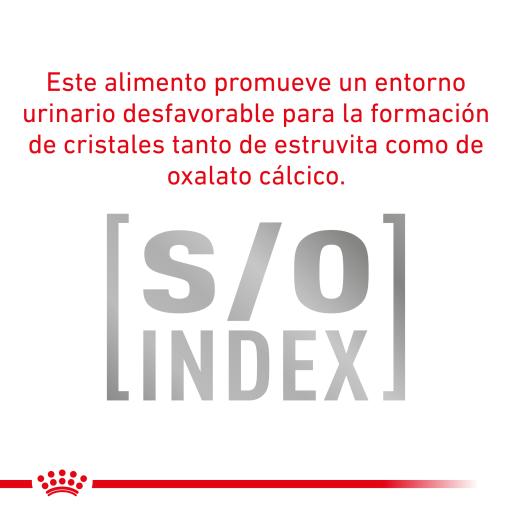 Royal Canin Adult Feline 10 Kg