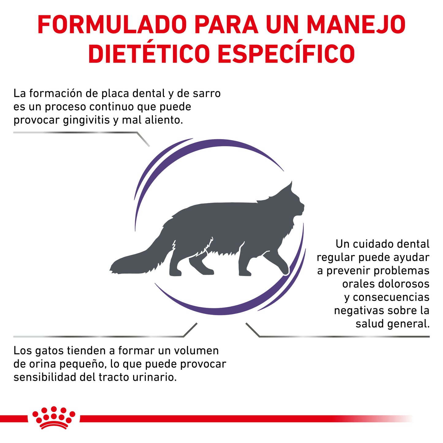 Royal Canin Dental Dry Feline 3.5 Kg